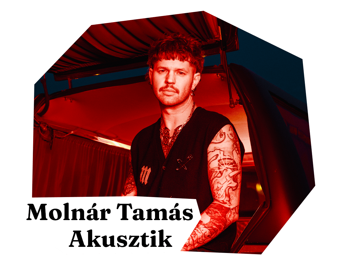 molnar_tamas_WEB